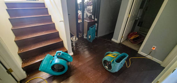 Best Emergency water damage restoration  in Panhandle, TX