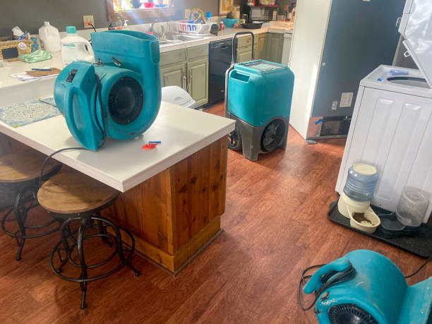 Sewage cleanup and water damage restoration in Panhandle, TX