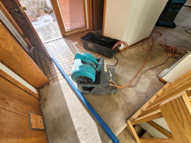 Best Flood damage cleanup  in Panhandle, TX