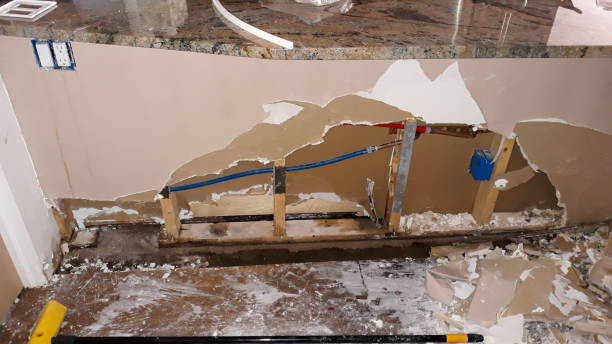 Best Fire Damage Restoration  in Panhandle, TX