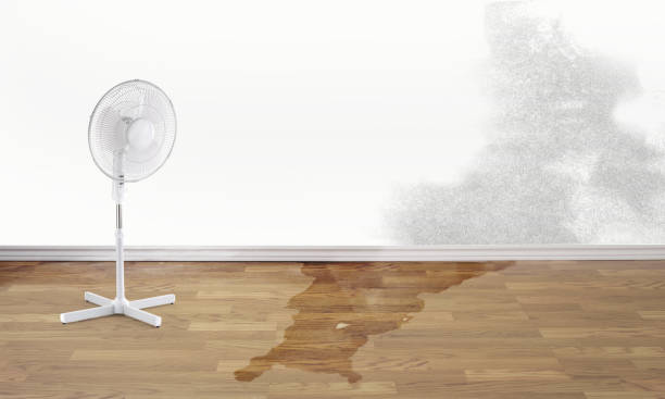  Panhandle, TX Water damage restoration Pros