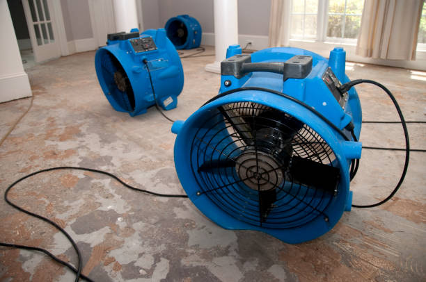 Best Emergency water damage restoration  in Panhandle, TX
