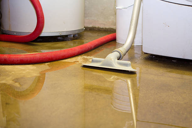 Best Sewage cleanup and water damage restoration  in Panhandle, TX