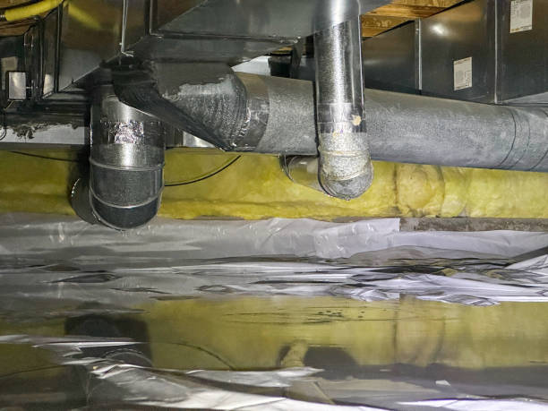 Best Local water damage restoration  in Panhandle, TX