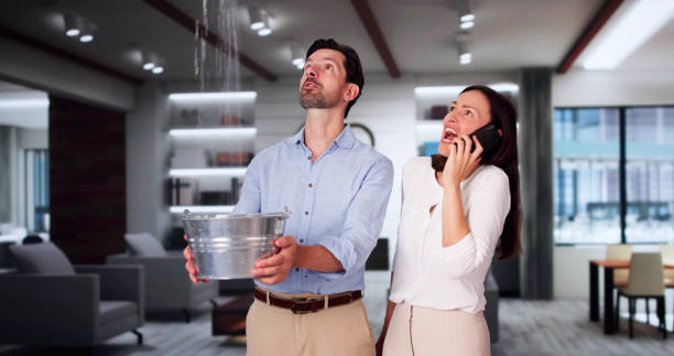 Best Water damage cleanup near me  in Panhandle, TX